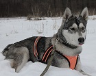 ЯЮля